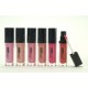 Beauty Treats Shimmery Lip Gloss Set 6 Colors