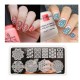 Born Pretty Nail Stamping Template Nail Printing Plates Vines Image Plate Lace Chevron BP-L028